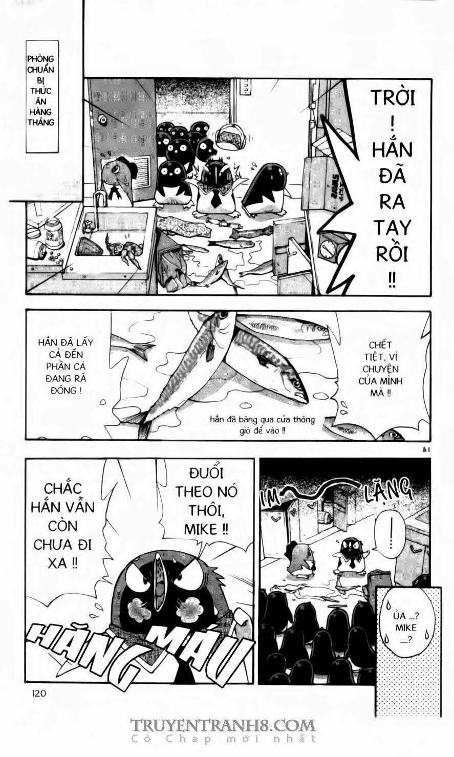 chim cánh cụt ginji chapter 104 16