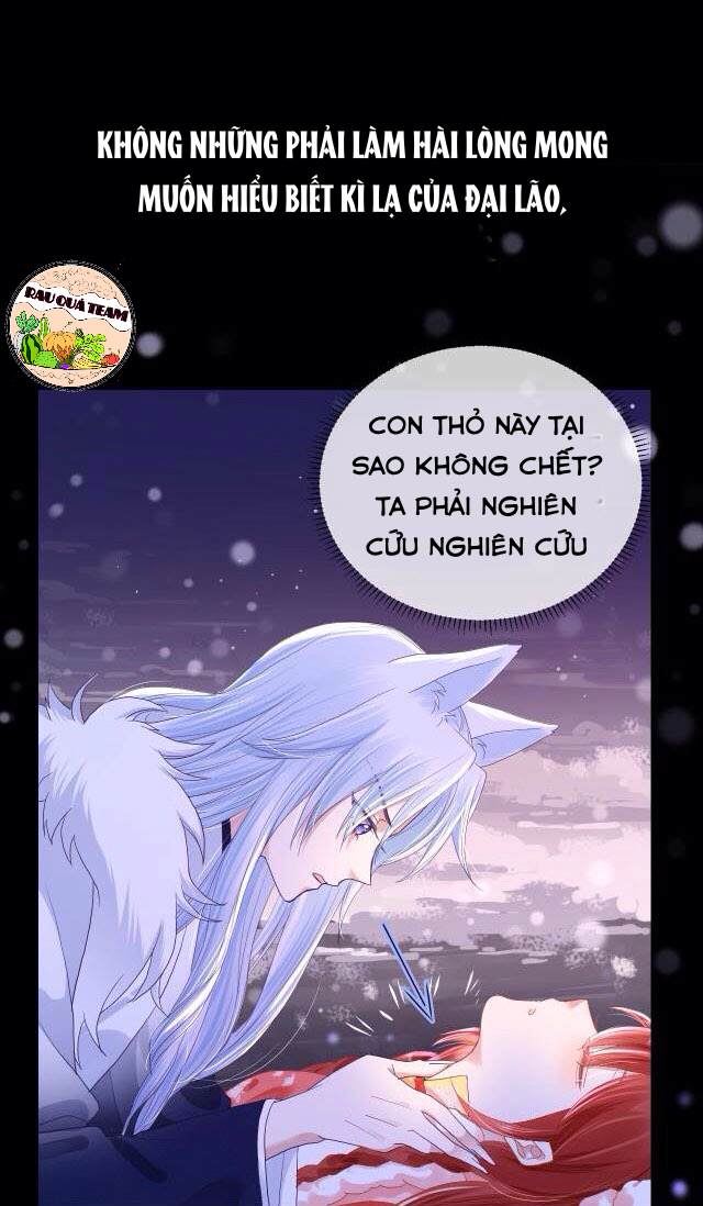 nuôi thỏ? nam chính hắc hóa rồi! chapter 1 12