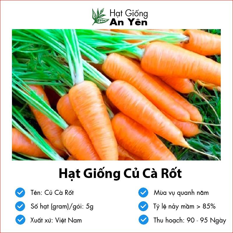 Hạt giống Củ Cà Rốt to thu hoạch sớm, dễ trồng, nảy mầm cao, sinh trưởng khoẻ