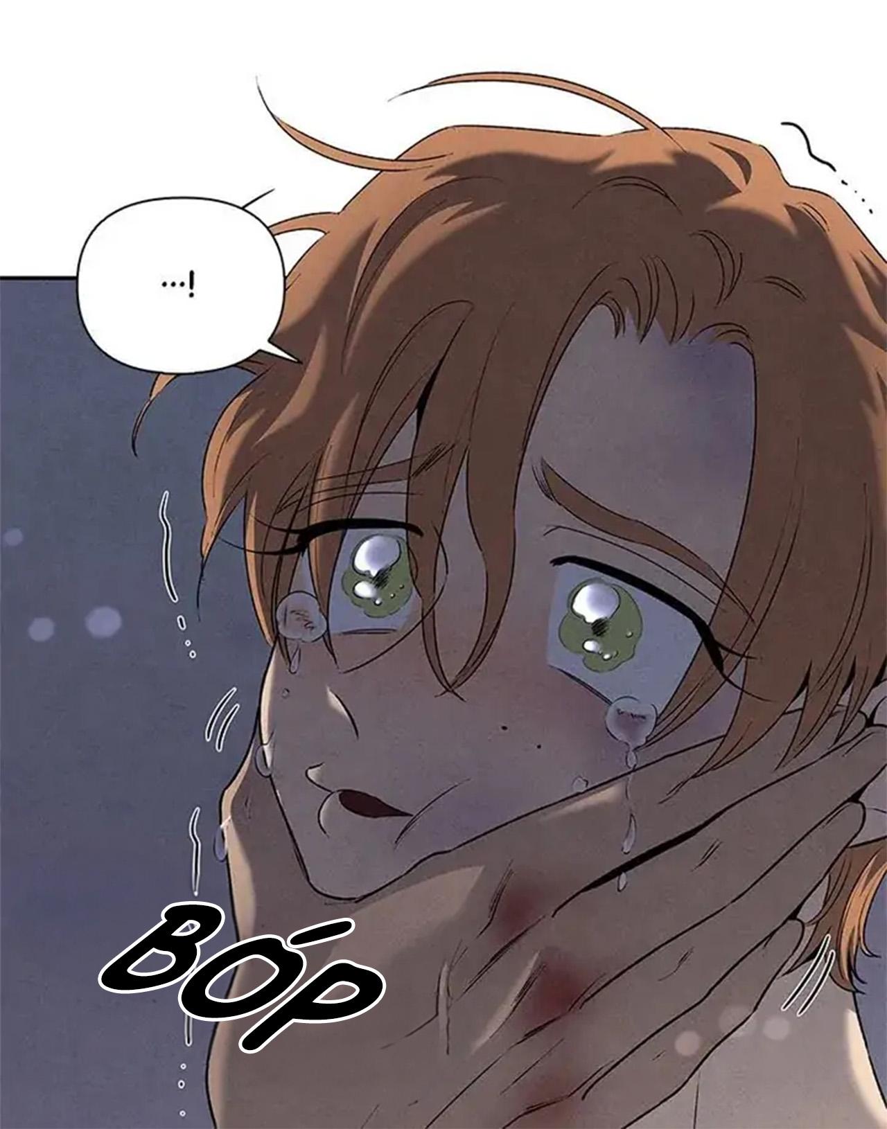 bona sort chapter 56 60