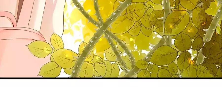 hoa chưa nở rộ chapter 20 16