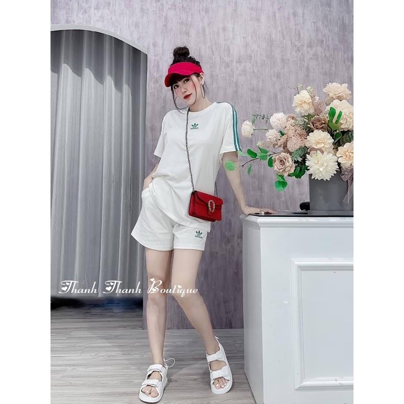 BỘ COTTON 3 LÁ CỘC VIỀN SỌC BẢNG 3 MÀU CHO NỮ