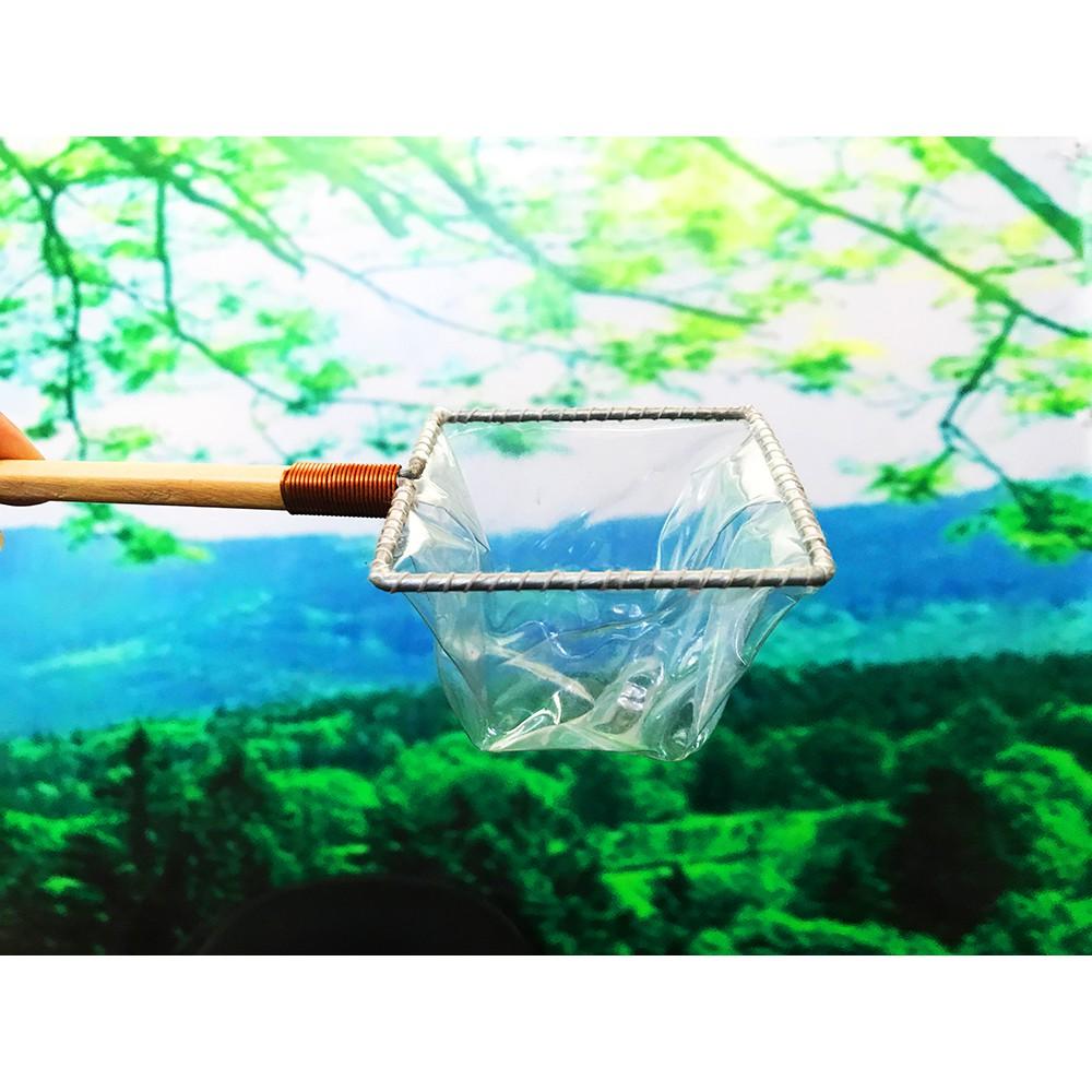Vợt vớt cá Betta - Guppy - Show cá