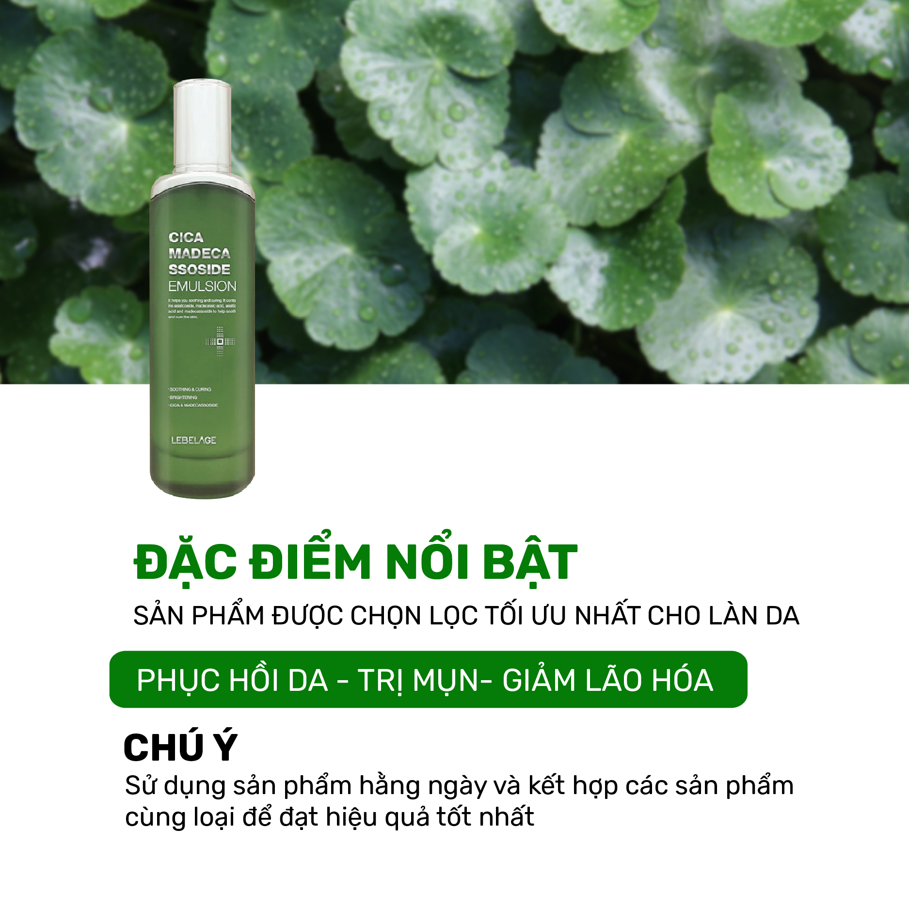 Sữa dưỡng da cấp ẩm giảm mụn chăm sóc da Lebelage Cica Madecassoside Emulsion 120ml