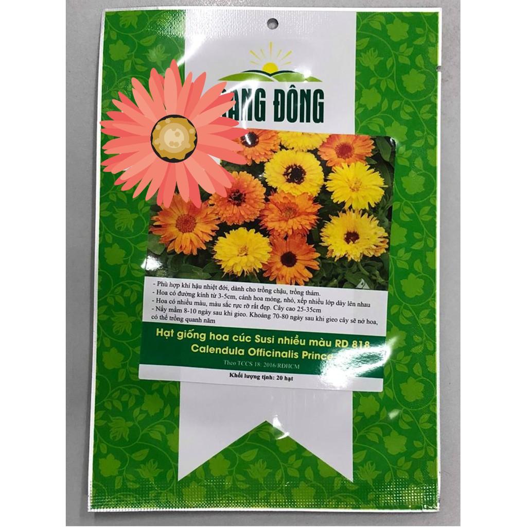 Hạt Giống Hoa Cúc Susi Nhiều Màu 20 hạt Rạng Đông
