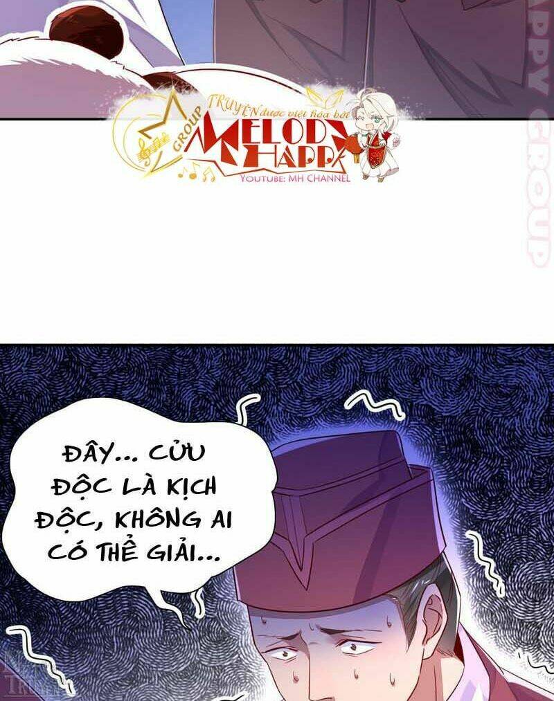 thiên thần gấu trúc muốn được ôm chapter 52 17