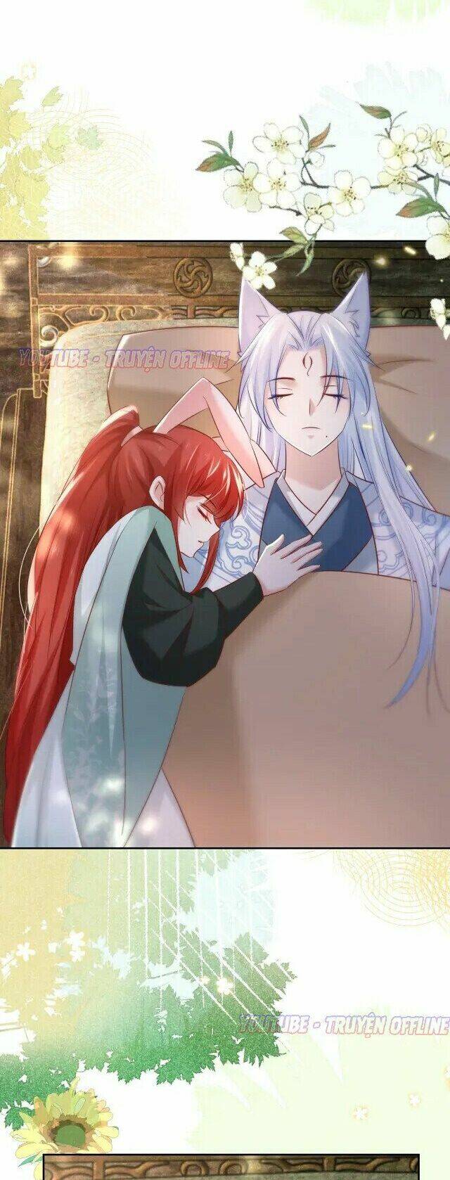 hắc hóa nam chính trực tuyến nuôi thỏ chapter 28 21