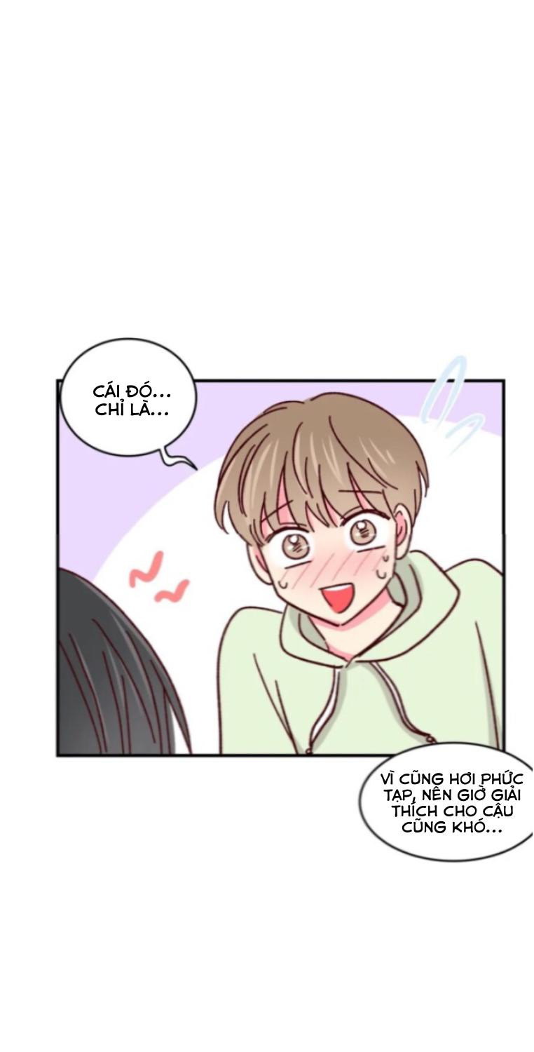 món tráng miệng của sếp tổng chapter 54 12