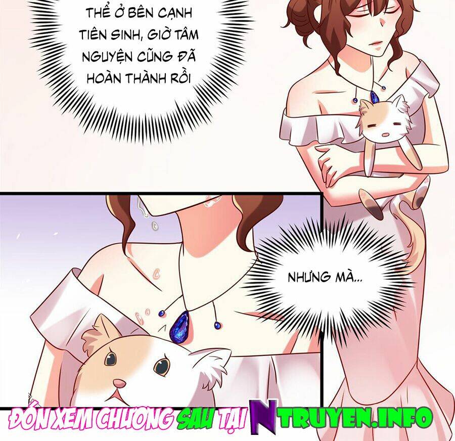 khế hôn chapter 80 25