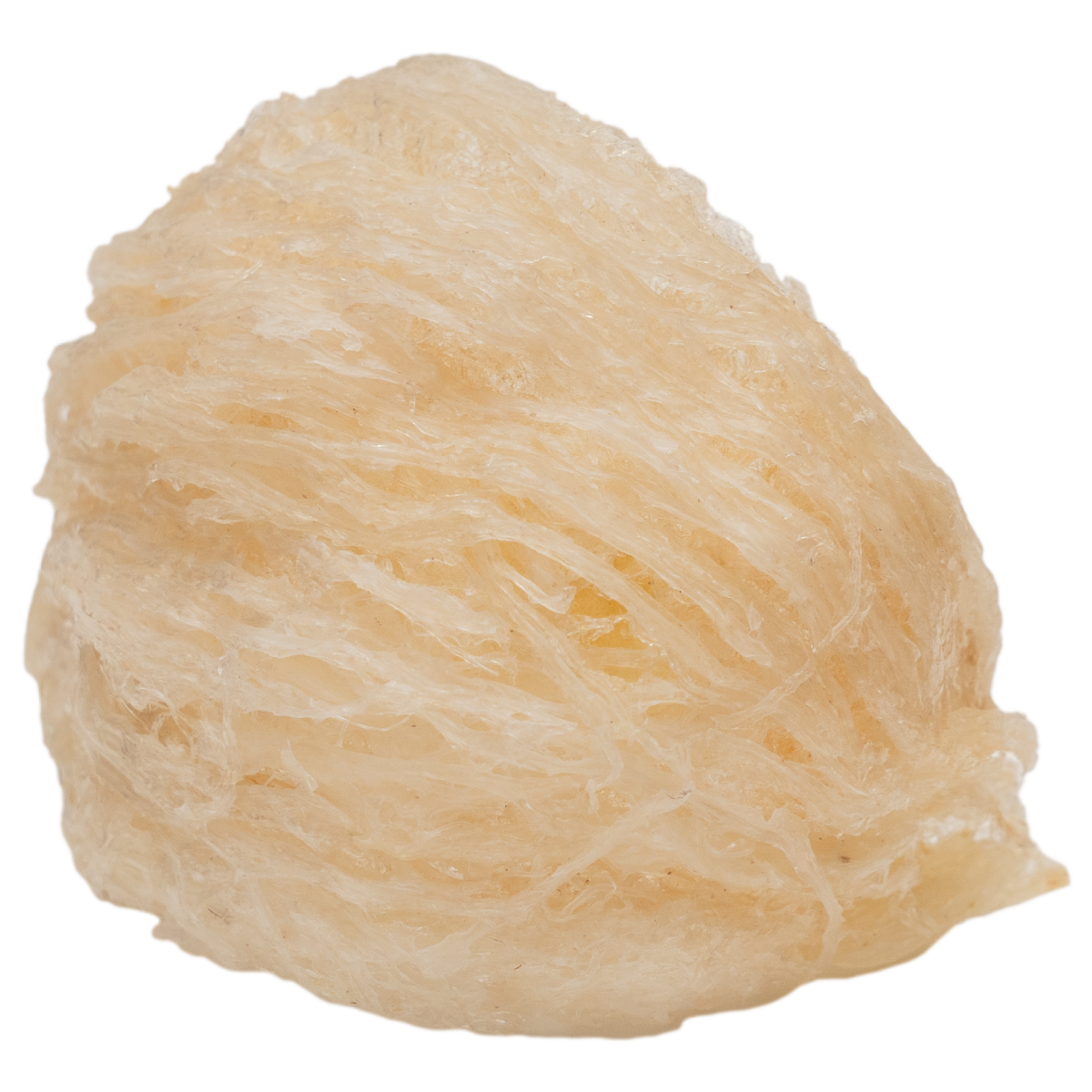 Tổ Yến Trắng Sơ Chế - Nhà Yến Nha Trang - Loại Chất Lượng 4.5 - Hộp 100 Gram - Tổ Yến Sơ Chế - Hàng Chính Hãng