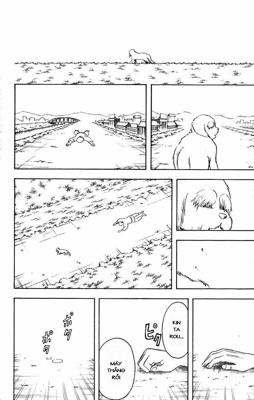 gintama - linh hồn bạc chapter 209 20