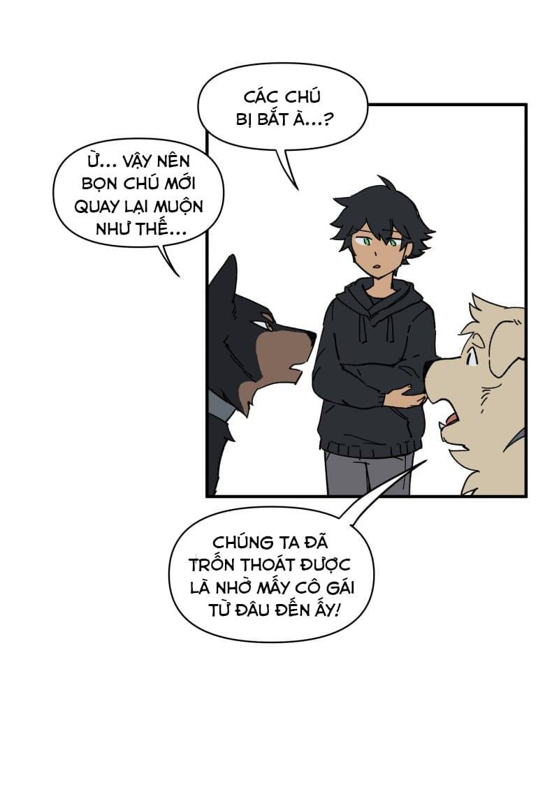 lumine - cội nguồn ánh sáng chapter 153 10