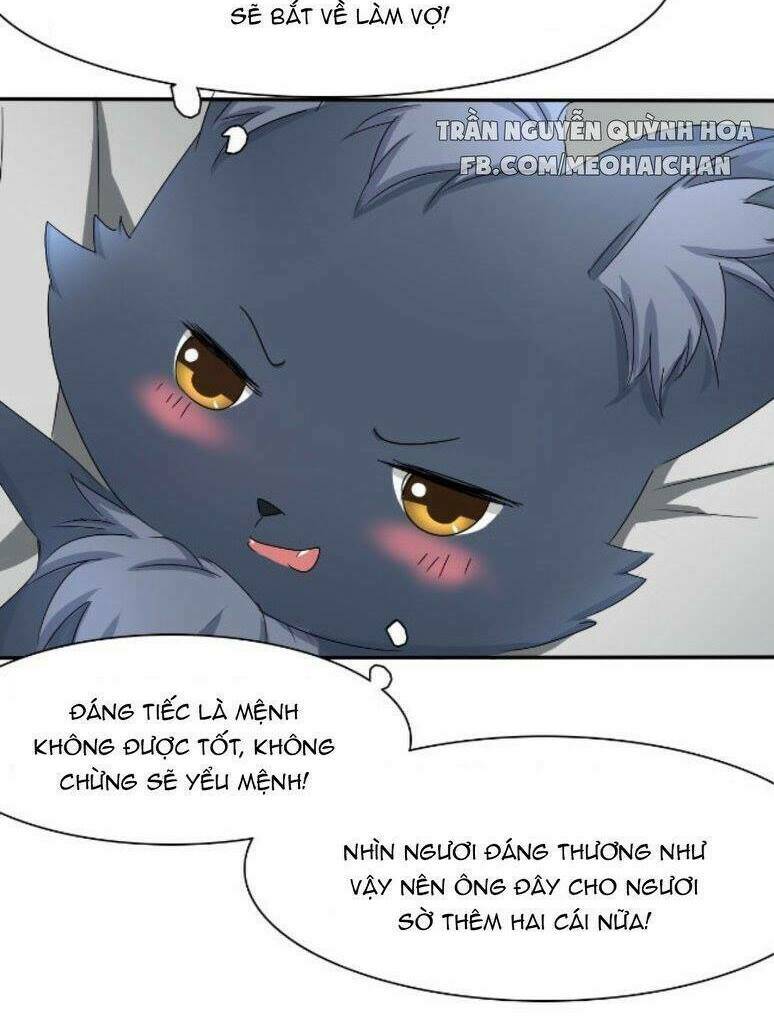 đạo sĩ cưới ta đi! chapter 1 24