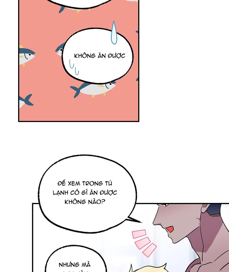 cá mập và cô dâu thỏ chapter 4 26