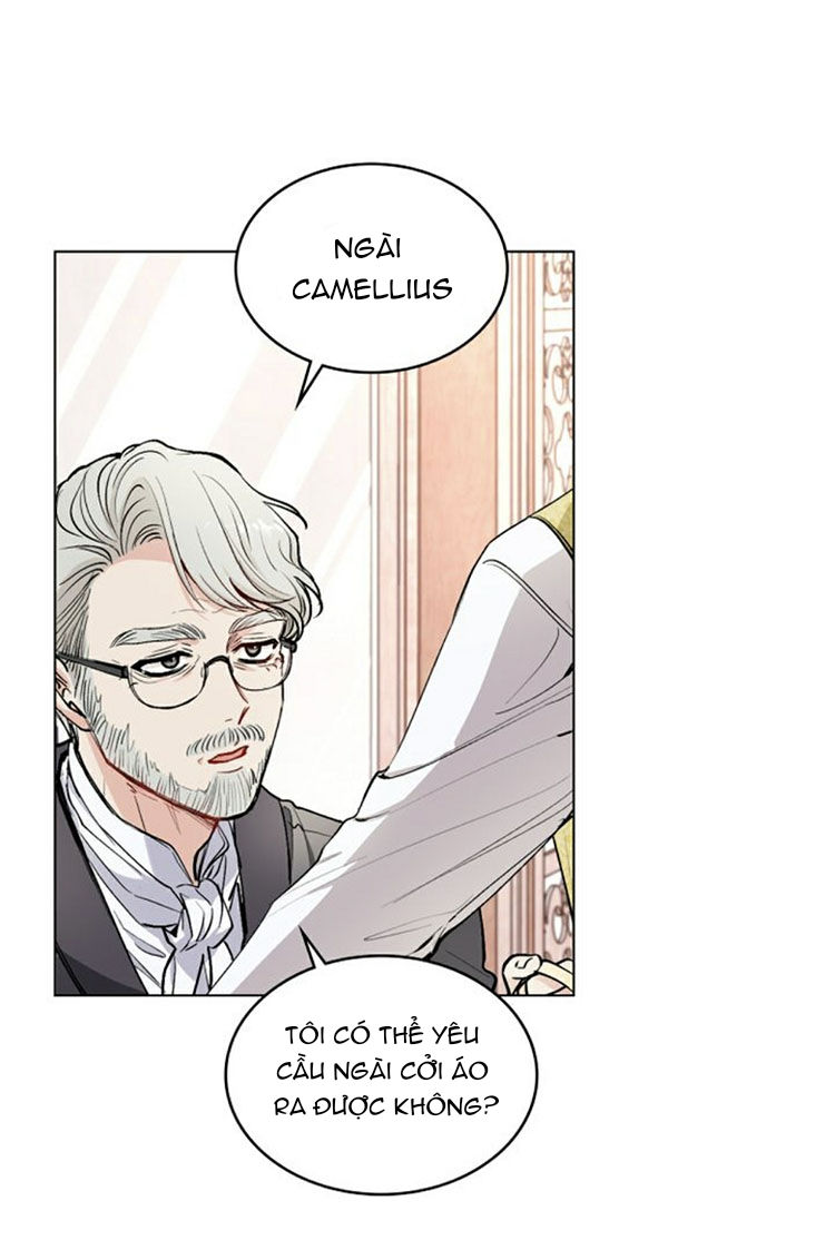 tìm lại nàng camellia chapter 12 4