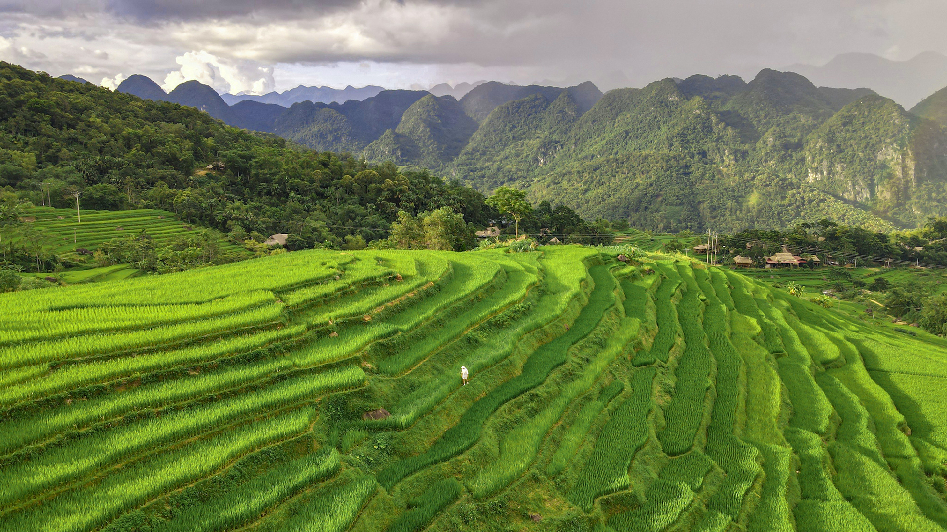 TOUR HÀ NỘI - PÙ LUÔNG – MAI CHÂU – HÀ NỘI: SẮC LÚA VÀNG VÙNG CAO THANH HÓA