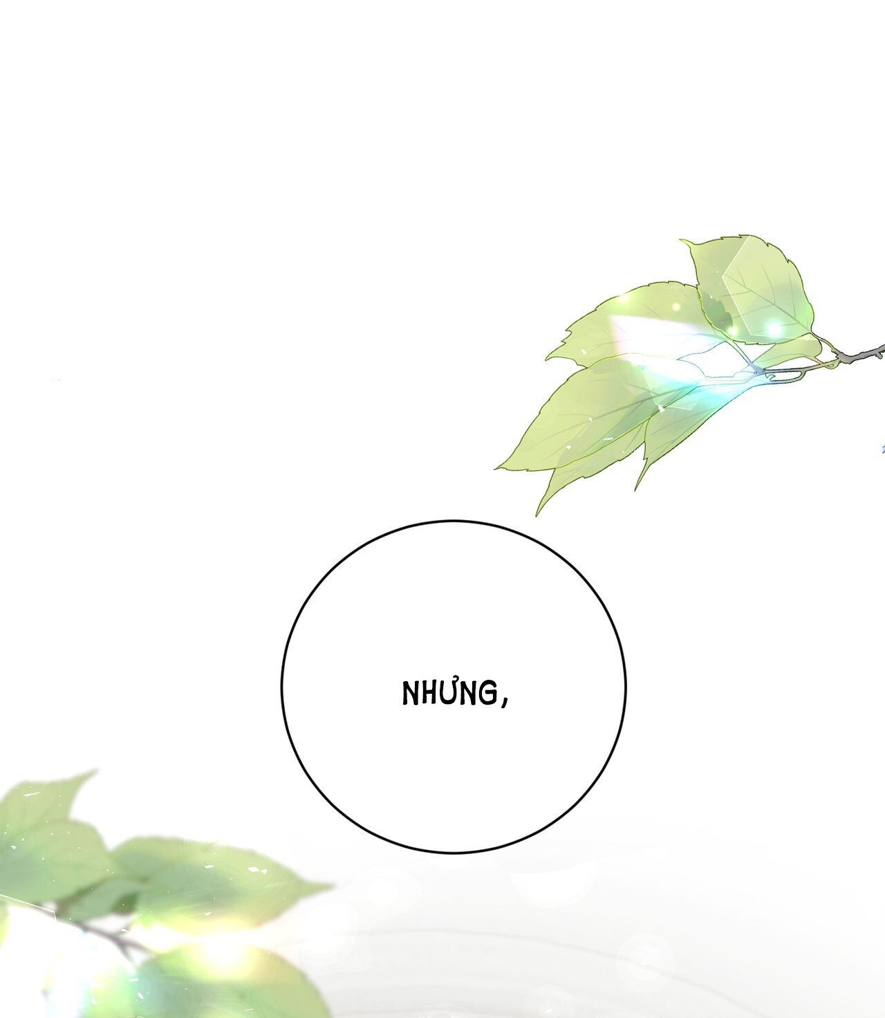 hợp đồng hôn nhân với hai người chồng chapter 1.1 11