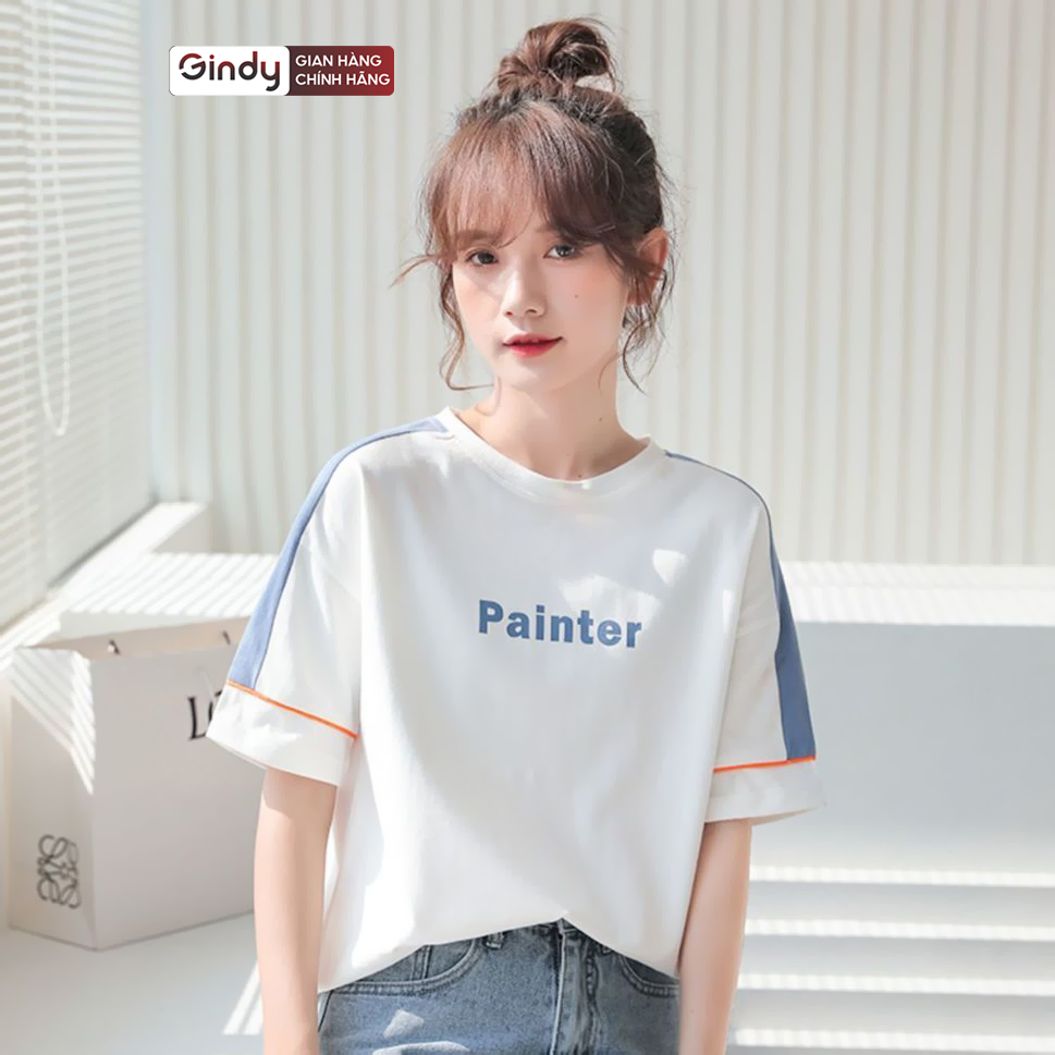 Áo thun nữ tay lỡ form rộng PAINTER phông chất cotton mát, co giãn unisex local brand GINDY A6171