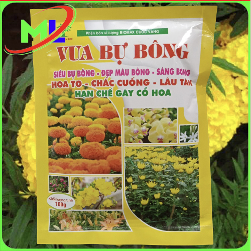 Vua bự bông vạn thọ cúc mai lan gói 100gr