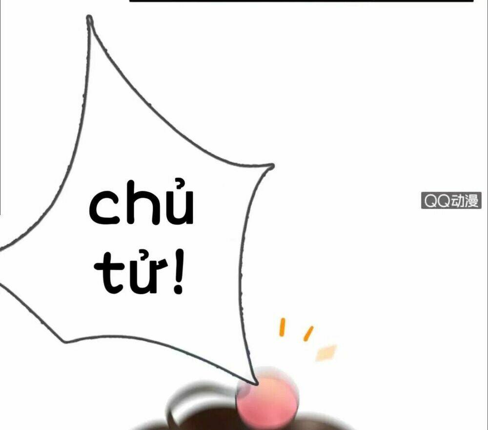 sủng phi của vương chapter 6 4