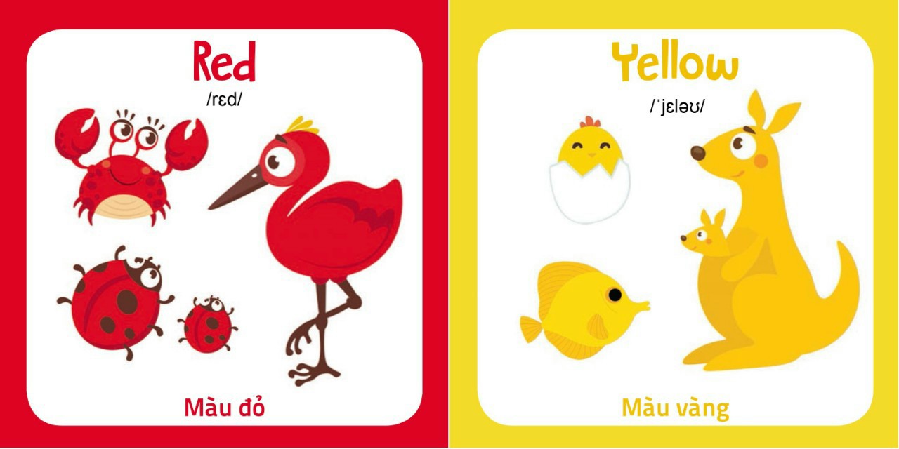 Thư Viện Hình Ảnh Đầu Tiên_My First Picture Book