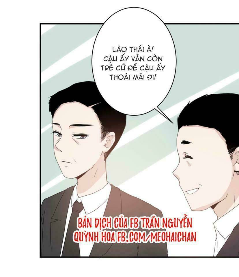 quy tắc của mỹ nam chapter 7 19