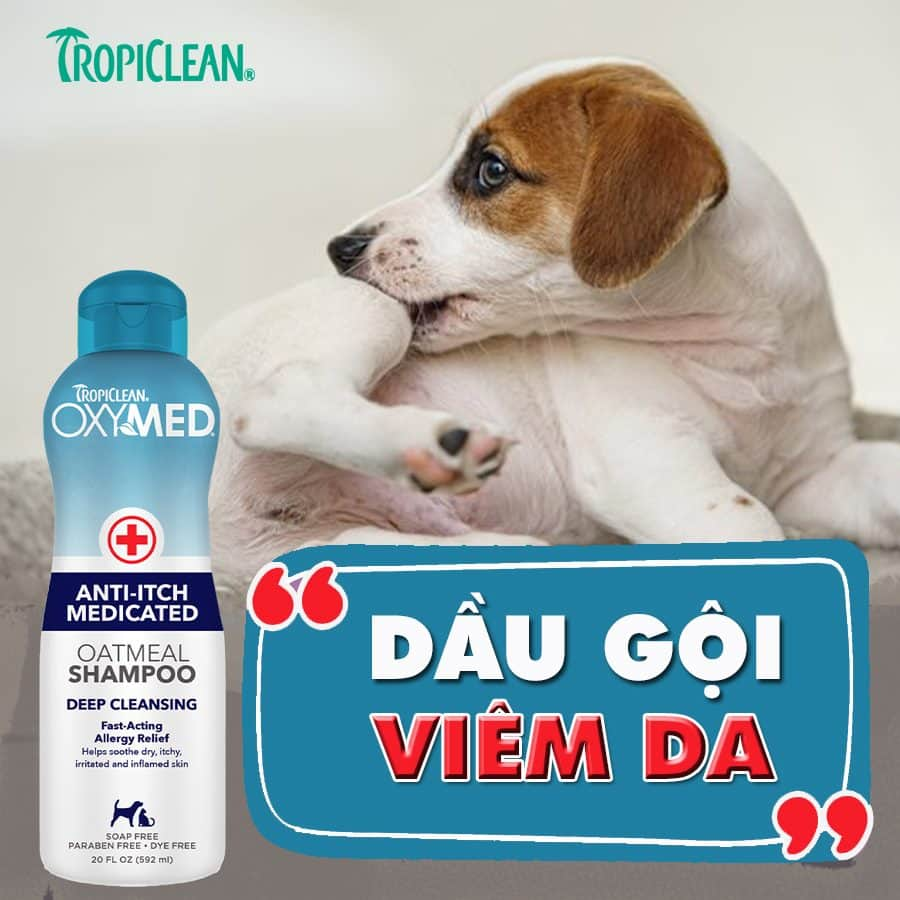 SỮA TẮM OXYMED TRỊ VIÊM DA, NẤM NGỨA, VẢY GÀU, ĐỐM ĐỎ TRÊN CHÓ (TROPICLEAN, MỸ)