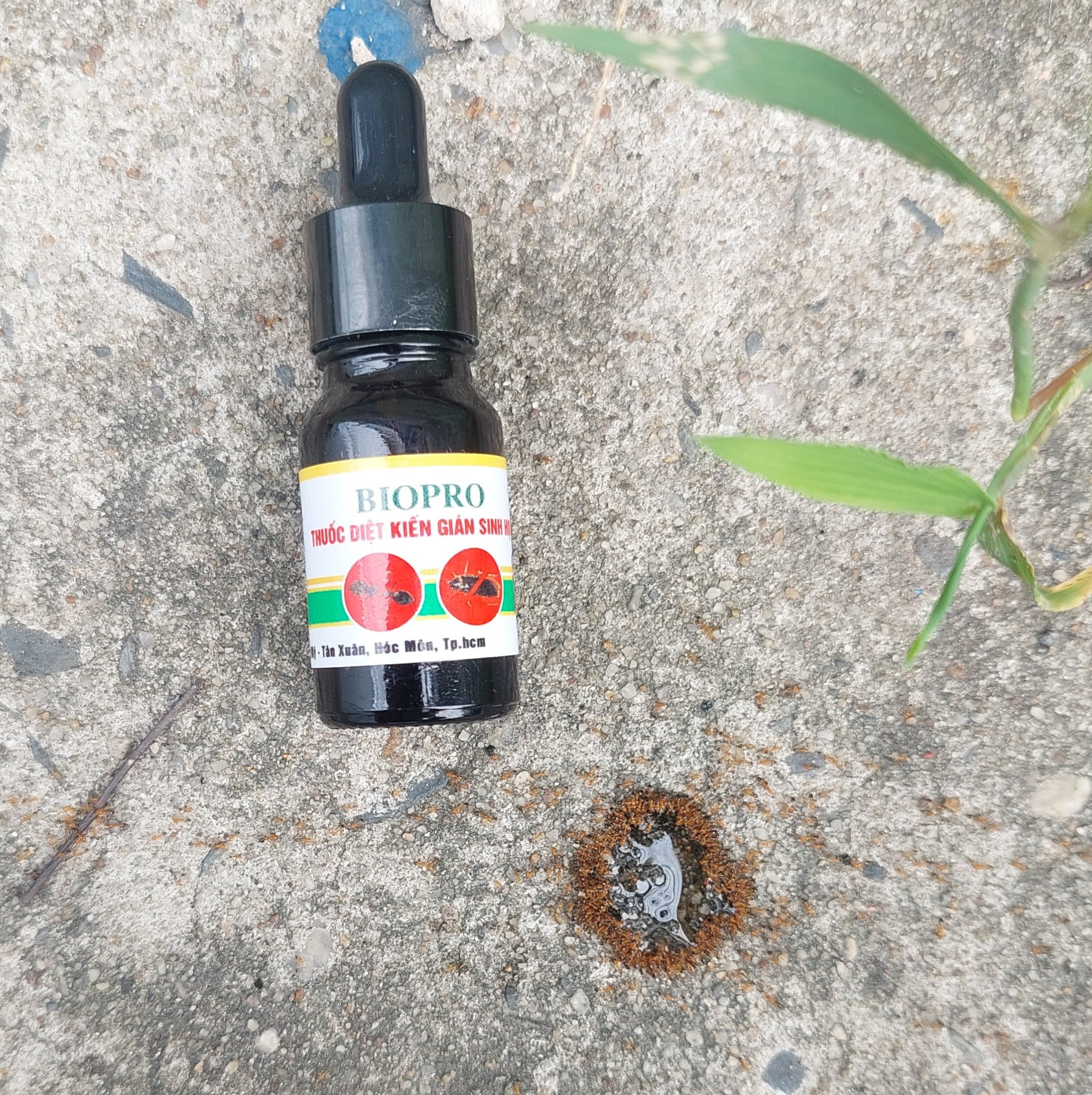 2 Chai Thuốc Diệt kiến gián sinh học Biopro chai 10ml Dạng ống bóp nhỏ giọt tiện lợi An toàn Hiệu quả Diệt sạch kiến gián - Biopro diệt sạch kiến gián