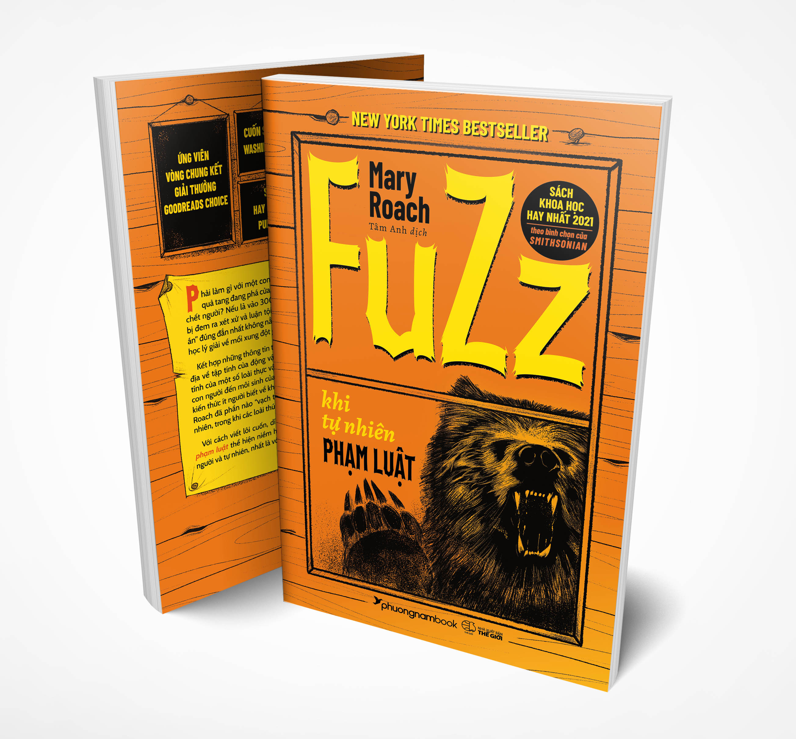 Fuzz: Khi tự nhiên phạm luật