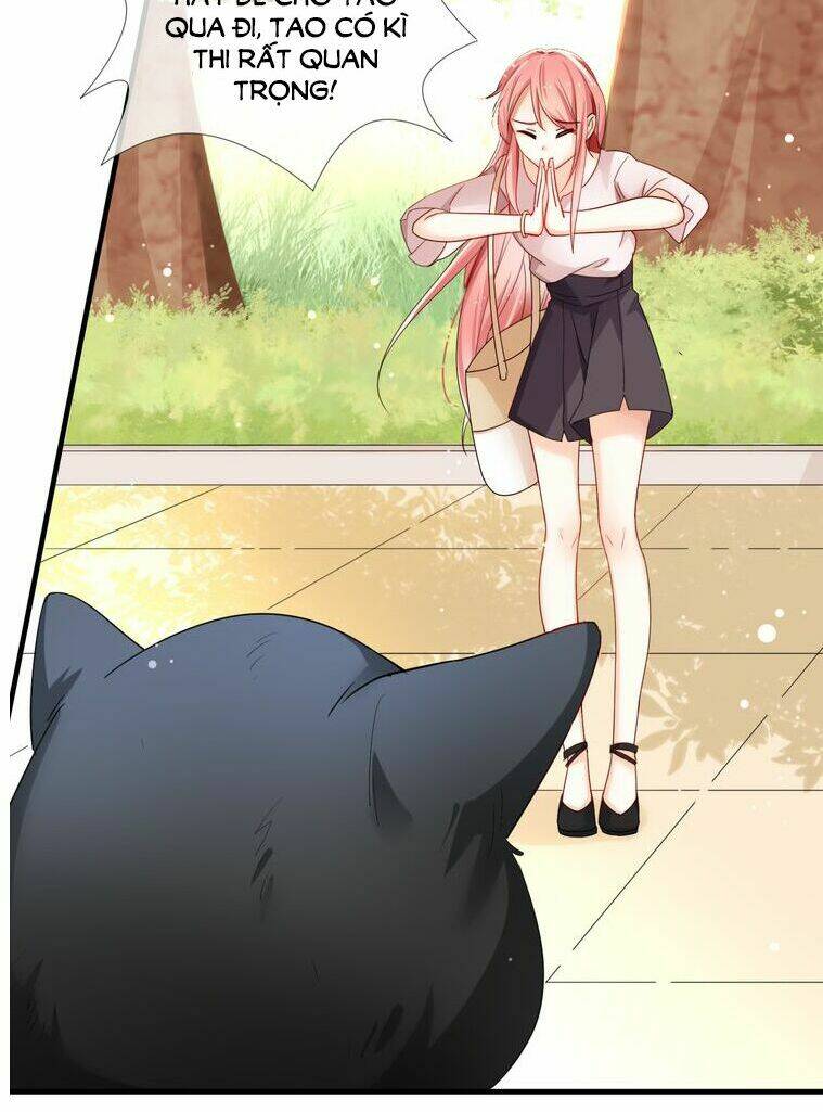 sói và chỉ huy chapter 1 6