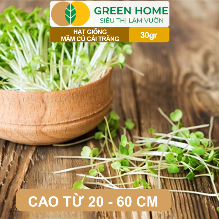 Hạt Giống Mầm Củ Cải Trắng GreenHome,Gói 30g, Dễ Trồng, Nảy Mầm Cao, Năng Suất Cao R10