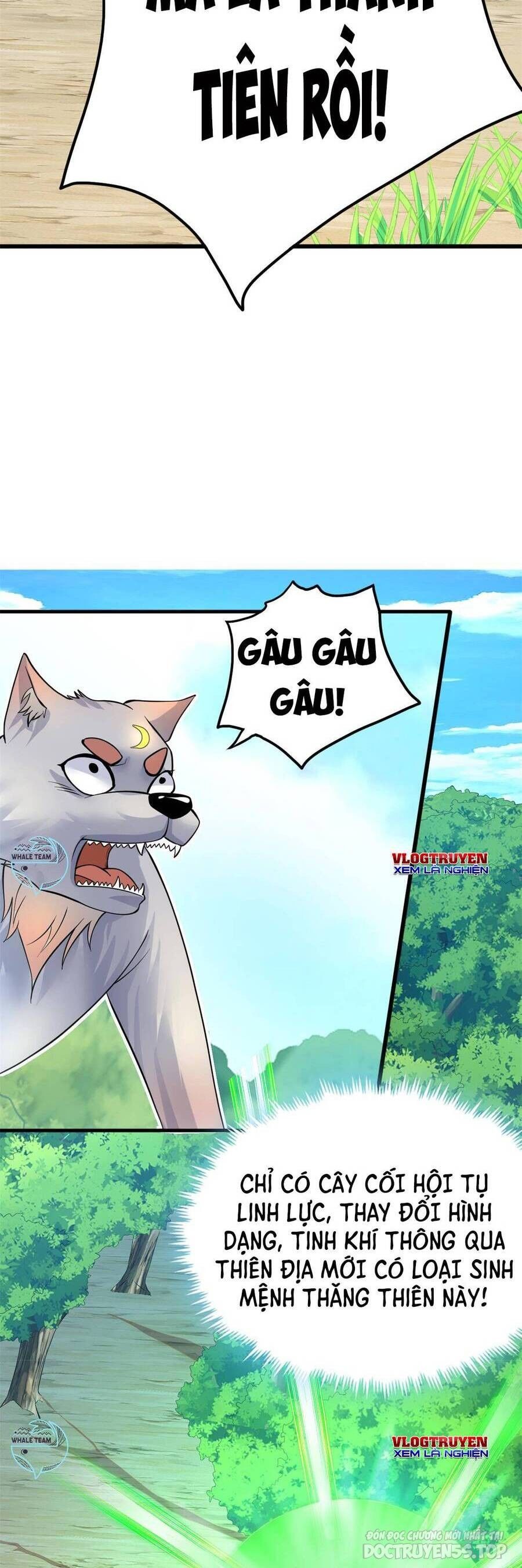 bắt đầu với kiếm vực, ta lặng lẽ tu luyện thành kiếm thần chapter 18 22