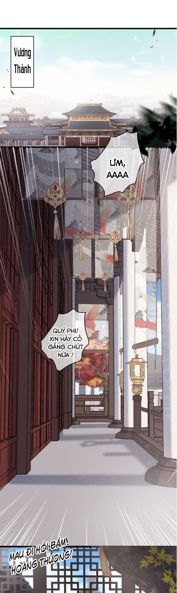 vũ phượng chapter 2 2