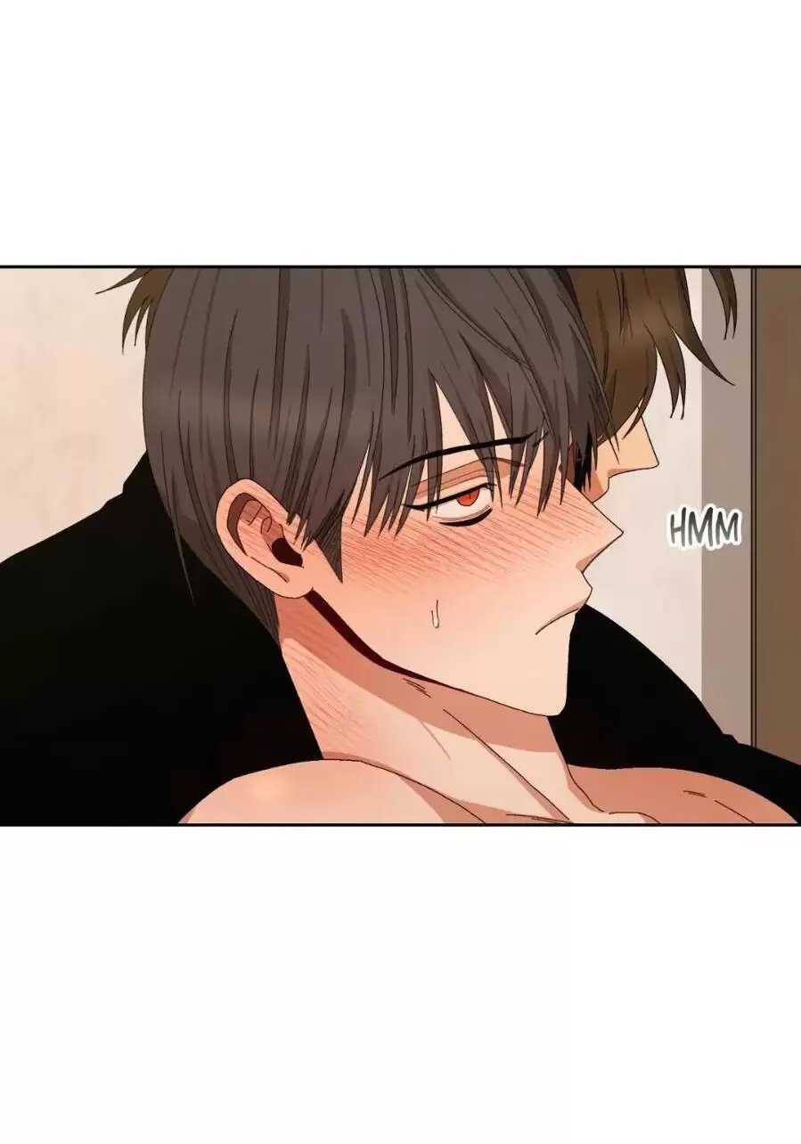 liveta chapter 13 25