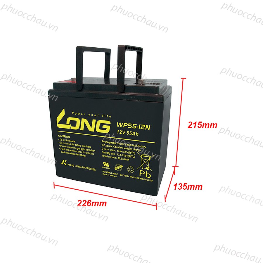 Ắc Quy LONG WP55-12N (12V-55Ah)