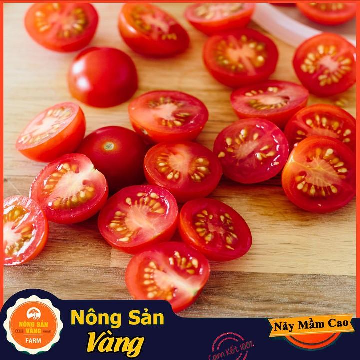 Hạt giống Cà Chua Cherry Đỏ ( Gói 20 hạt )