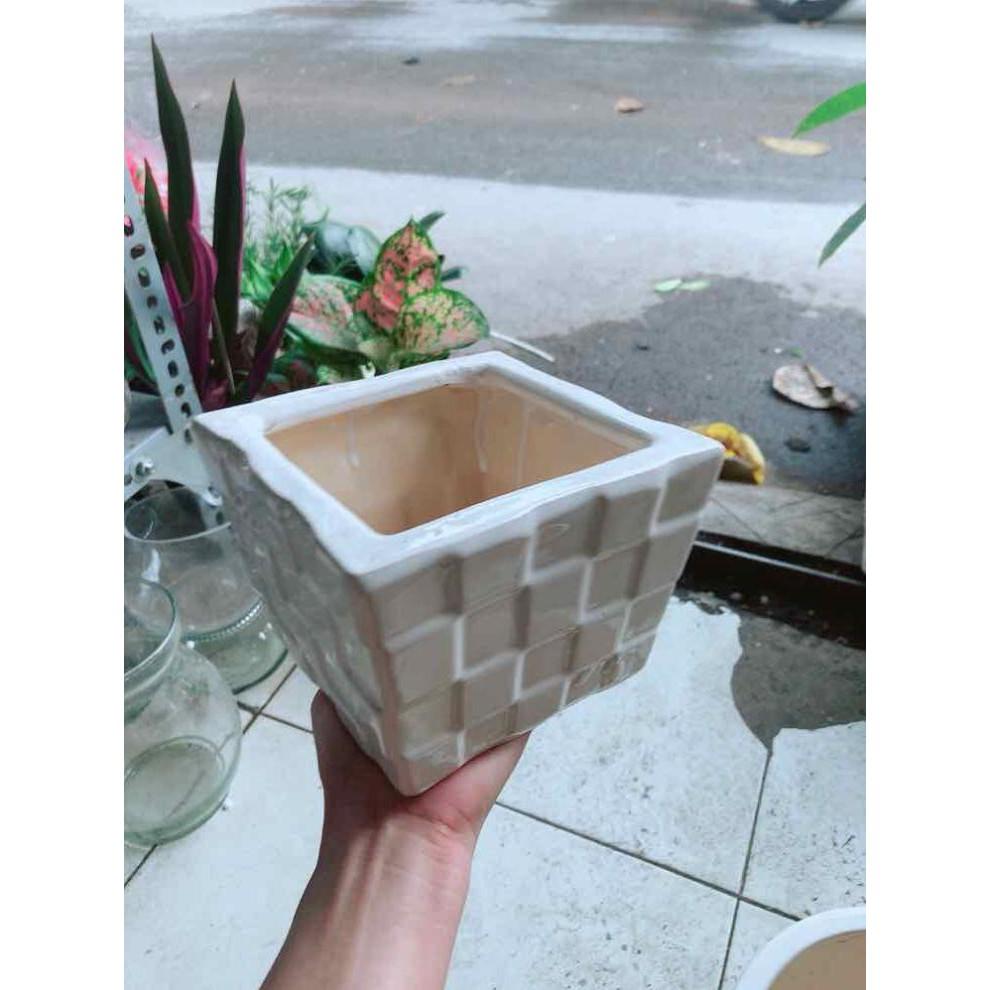Chậu Trồng Cây Bán Chạy