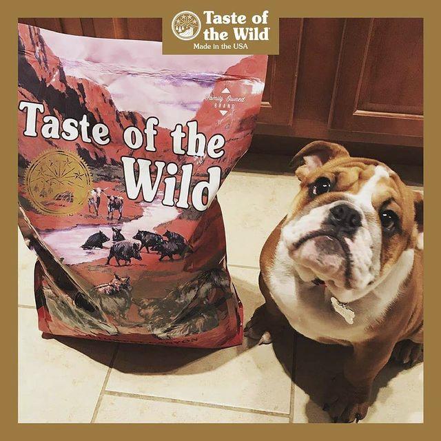 Thức Ăn Cho Chó Bull Pháp Taste Of The Wild Bao 2kg - Southwest Canyon Thịt Heo, Trái Cây Rau Củ Quả
