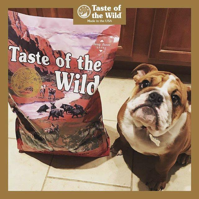 Thức Ăn Cho Chó Bulldog Taste Of The Wild Bao 2kg - Thức Ăn Cho Chó, Vị Thịt Heo, Trái Cây Rau Củ, Southwest Canyon