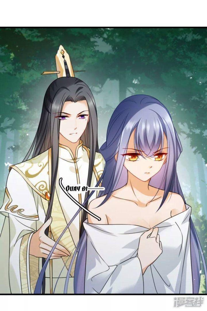 nụ cười của ngươi ngọt gãy tám cái răng của ta chapter 13 8