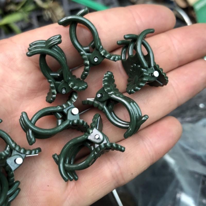 10 kẹp bướm cố định hoa lan