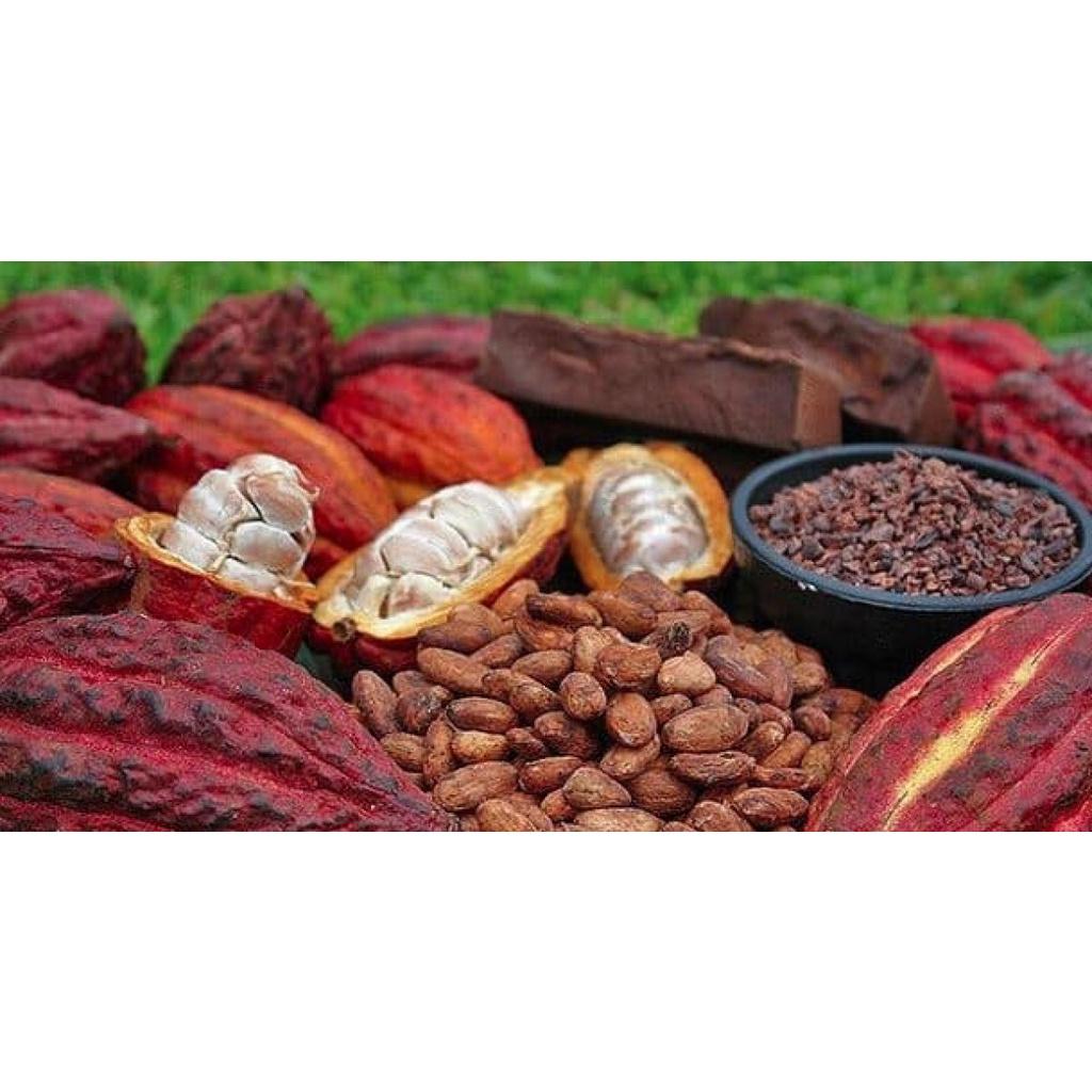 500 GRAM BỘT CA CAO NGUYÊN CHẤT . *