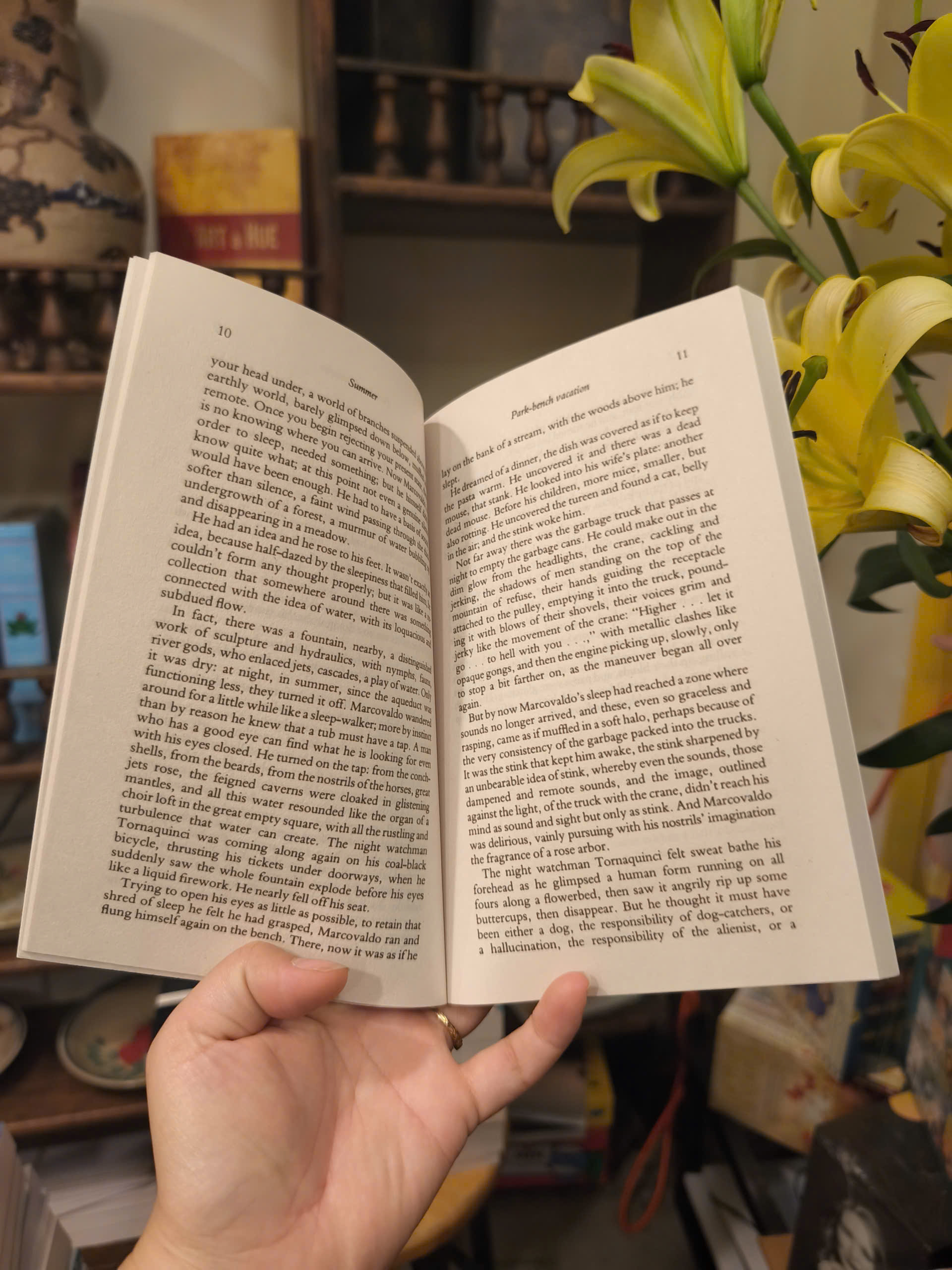 Sách - Marcovaldo by Italo Calvino | Short Stories / Italian Literature / Truyện ngắn Ngoại văn