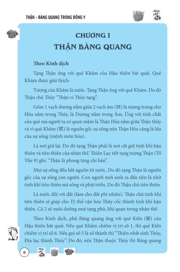 Sách Thận Bàng Quang Trong Đông Y (Bìa mềm)