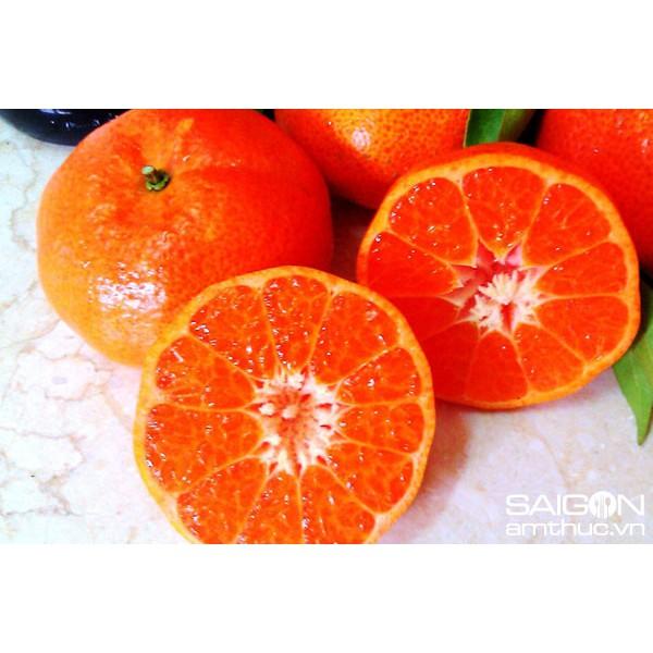 Cây giống Cam ĐƯỜNG Canh Siêu trái .