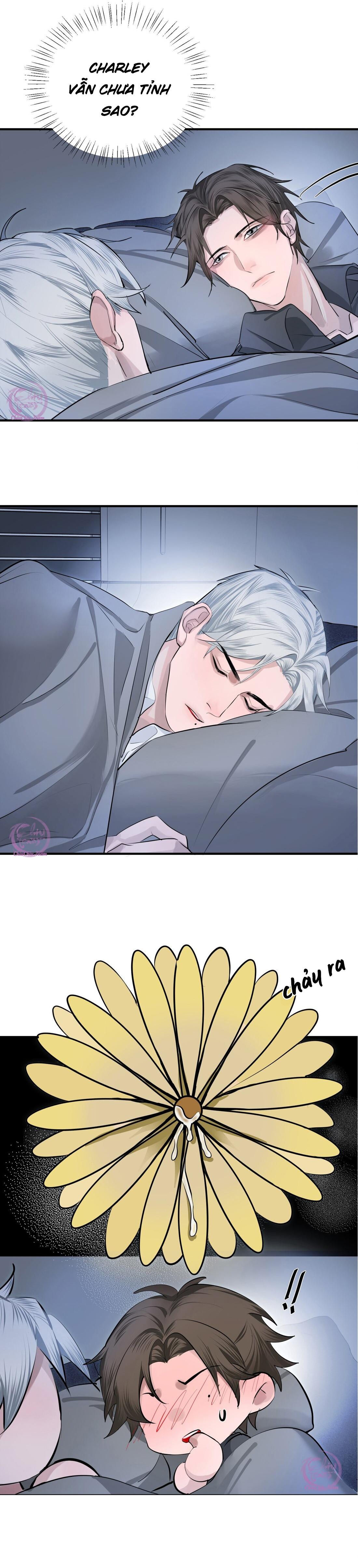 quan hệ xâm chiếm chapter 8 2