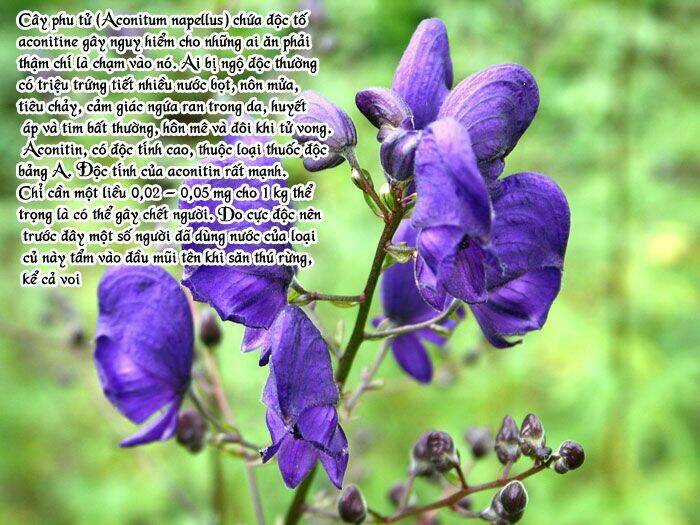 detective academy q chapter 56 26