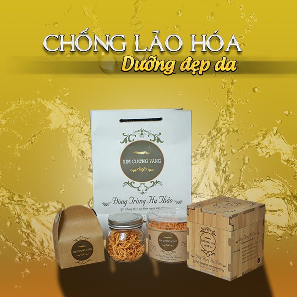 Đông Trùng Hạ Thảo Khô - hộp lớn 10gr