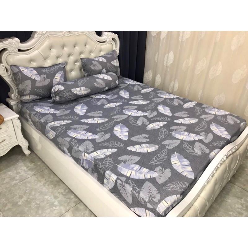 Bộ drap thun hàn quốc 4 món mẫu lá