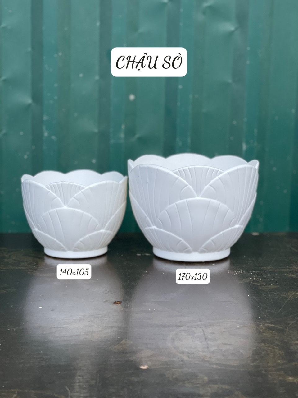 Chậu Nhựa Sò trắng trồng hoa để bàn KT 14 x10.5 x 9 cm